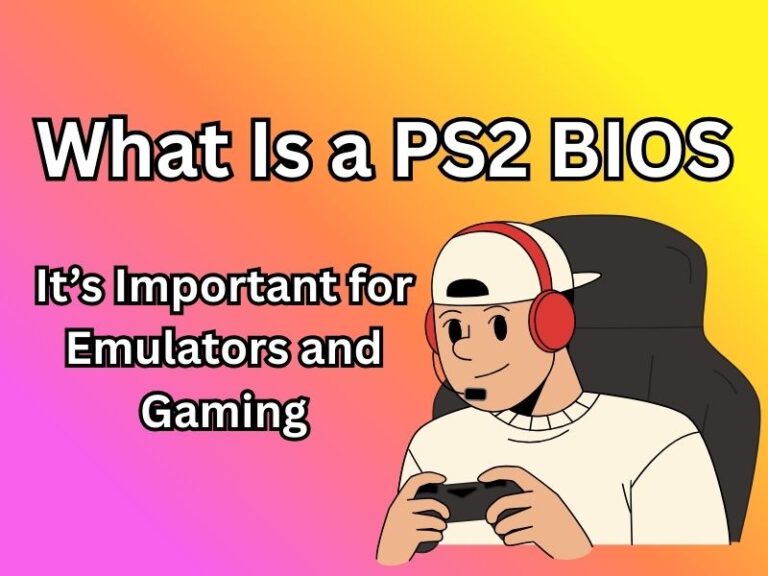 PS2 BIOS